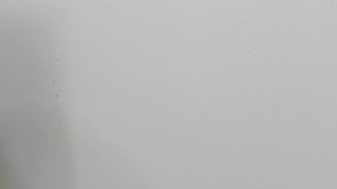 katy blonde girl and paola big boobs online show from October 28, 7:37 pm