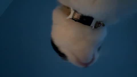 keepquietj online show from January 20, 12:25 am