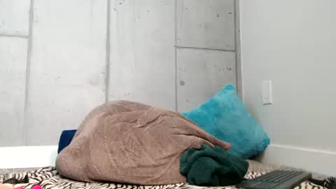 kelleylukelikes online show from July 1, 8:28 pm