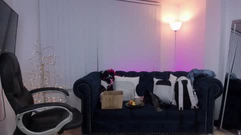 Kendall Jenner online show from February 7, 10:29 am