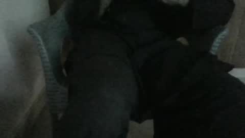 MR COCKER online show from March 6, 11:53 am