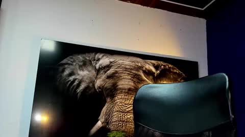 Angel Falconer online show from November 27, 3:25 am