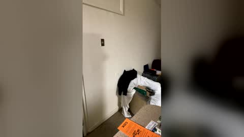 kingecstasyxxxddd online show from January 16, 8:56 am