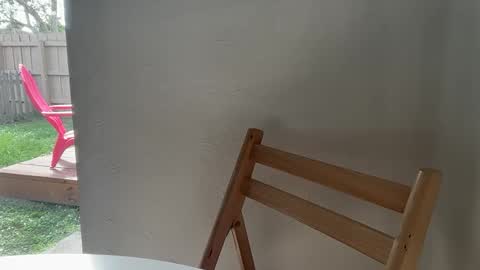 KING online show from November 4, 2:51 pm