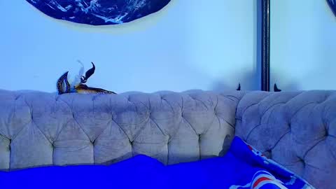 kira online show from November 5, 11:56 am