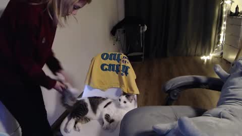 Kisi online show from January 30, 6:43 pm