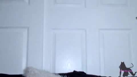 Kitti online show from November 11, 7:54 am