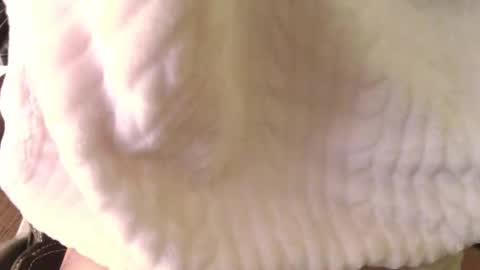 Snapshot of kokii666 chatting on October 29, 1:02 pm french wild dick online show from October 29, 1:02 pm