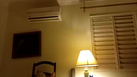 kokobutther online show from August 5, 2:30 am