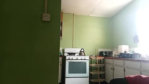 Prince makonnen  online show from March 1, 1:29 pm