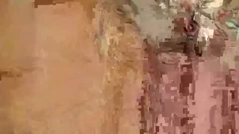 kyleleon2121 online show from November 15, 7:48 pm