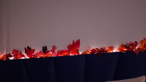 Kylie  online show from October 2, 3:00 pm