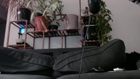 Rick online show from December 11, 8:26 am