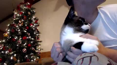 Lance online show from December 30, 1:04 am