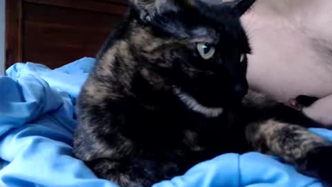 Lance online show from December 16, 4:13 pm