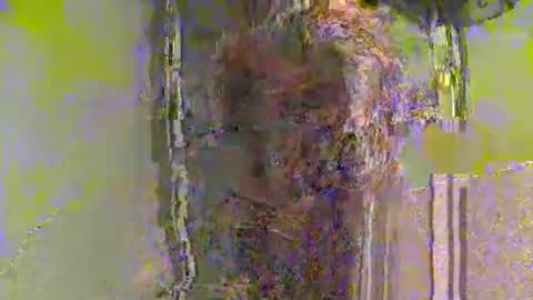 lathams1 online show from April 19, 8:55 pm