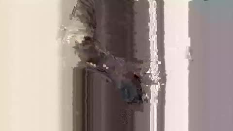 Latinabunnyxxx online show from October 4, 8:23 am