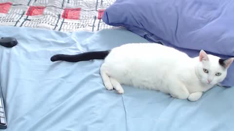 Laura online show from November 23, 5:44 pm