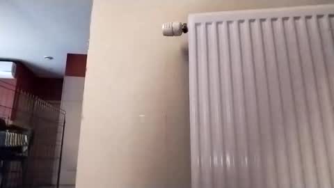 Law online show from December 17, 12:12 pm