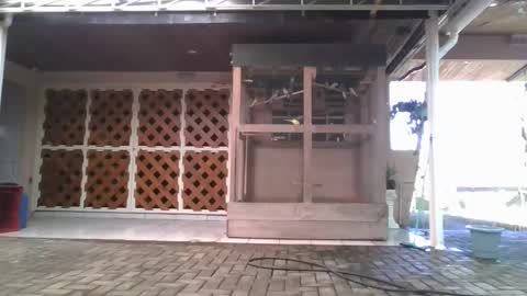 kelly online show from January 5, 6:22 pm