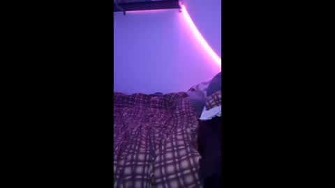 lemonmczesty online show from March 3, 4:30 am