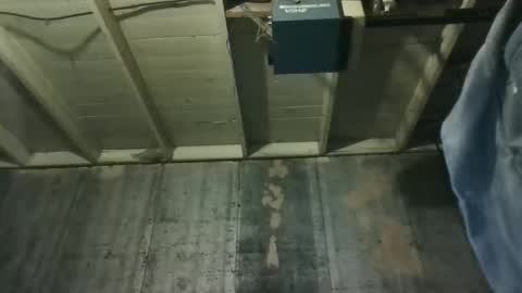 leo199984 online show from March 29, 3:19 am