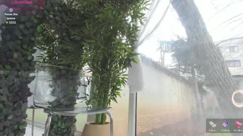 lexi_storm online show from March 20, 9:14 am