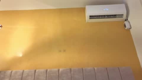  Lexy  online show from March 22, 1:59 pm