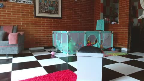 Liarouse04 online show from April 11, 1:48 pm