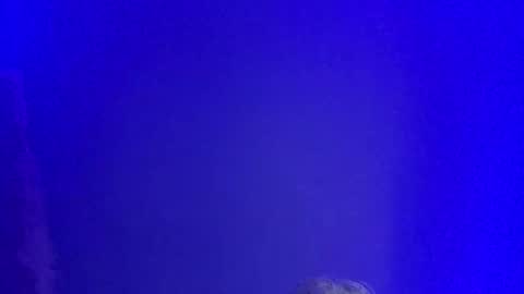 LickYourYoni online show from January 1, 2:52 pm