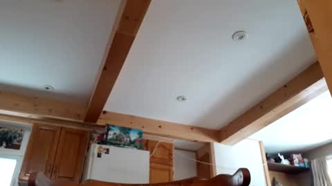 St pierre online show from November 18, 3:15 pm