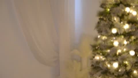 Rebecca online show from December 17, 6:03 pm