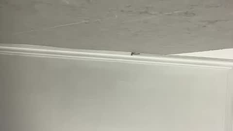 Lilith  online show from November 11, 3:25 pm