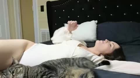 lilly_adams88 online show from December 1, 3:26 am