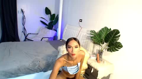 lillyholland online show from February 12, 7:13 am