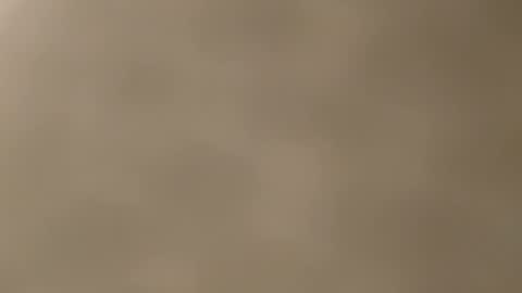 lilmiia online show from November 21, 12:25 pm