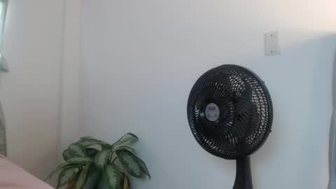lily_rose0 online show from June 4, 8:04 pm
