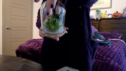 littledeathtrap online show from January 6, 9:30 pm