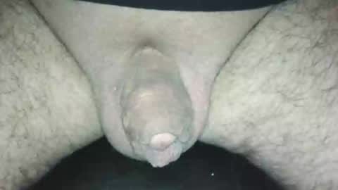 littlestick online show from November 25, 11:53 am