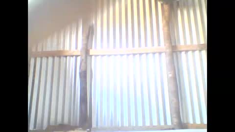 yanah online show from November 5, 5:42 am