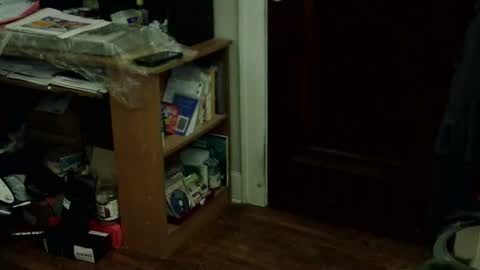 loades182025 online show from January 15, 4:10 am