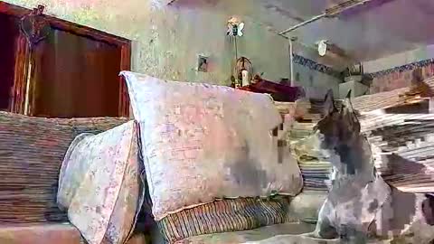 Snapshot of lolahueso chatting on September 22, 2:32 pm LOLA HUESO y ERIC online show from September 22, 2:32 pm