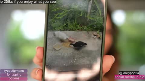 Chaturbatexxjessica online show from November 10, 6:43 pm