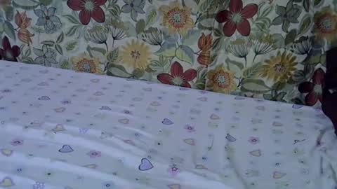 lora_amor online show from March 10, 2:27 am