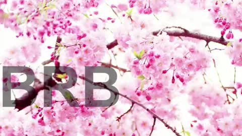 Lorraine online show from December 18, 7:09 pm