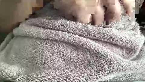 lovely_krizzy online show from February 9, 7:23 am