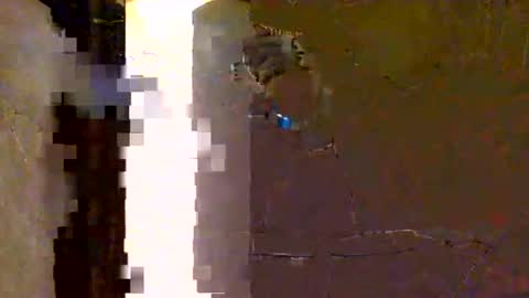 That guy online show from March 12, 3:10 am