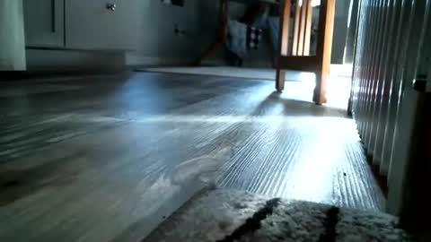 lovingcouple1969 online show from March 5, 3:54 pm