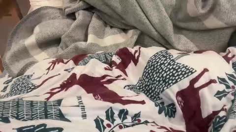 lucca_d123 online show from November 17, 7:22 am