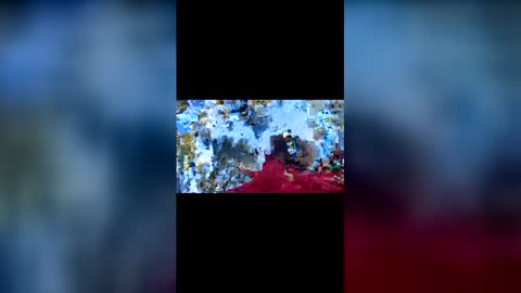 Luccas online show from June 8, 6:31 pm